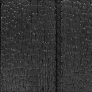 Madera carbonizada cocodrilo
